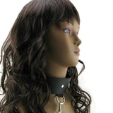 Black Leash and Collar Sportsheets